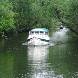 Seafari followed by The Pegstan.