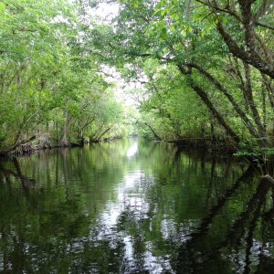 Beautiful unspoiled Florida.