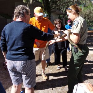 Wendy and Larry (The Odyssey) pet the snake held by Ranger Christine while Autumn (Seafari) waits her turn.