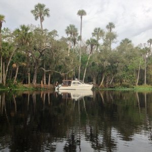 Our staging area a few days prior to gathering.