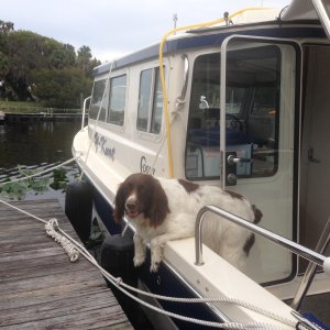 Meet \"Tillie\" on arrival.