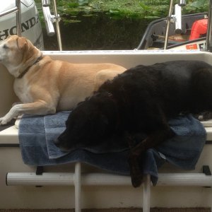 Down time after lots of exploring.