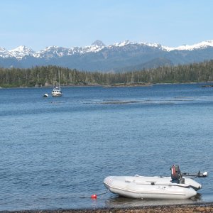 Achilles tender, Sitka Alaska