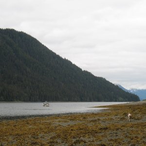 Crab Bay, Tenakee Springs