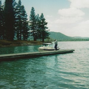 Palomino at Lake Davis spring 2006