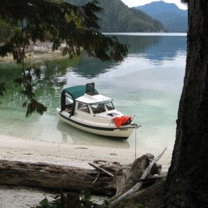 Gaiasika in paradise, Burdwood Group, Broughtons
