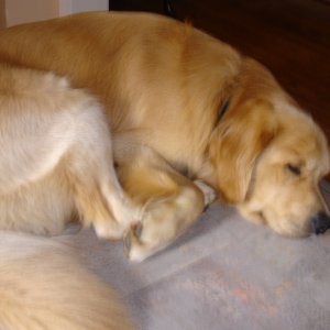 I'm worn out after running with mom.
