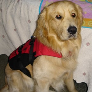 My new pfd for our trip to BC