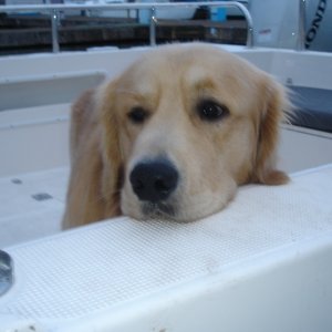 Dawson's Boat
