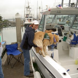 Why we needed a bigger boat