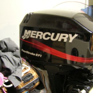 40HP efi fourstroke power