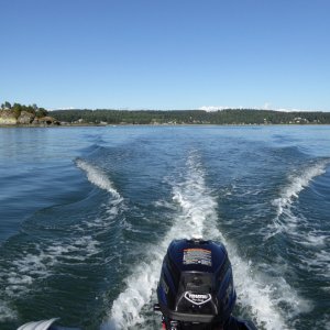 Cruising around Hope Island in the dinghy.  Picked up this 3.5 Tohatsu at a swap meet a month ago for $300 and it does quite well on the 9 foot dinghy.