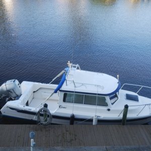 Cerium(IV) docked at the condo