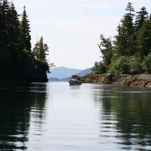 DogOnDory Arriving
