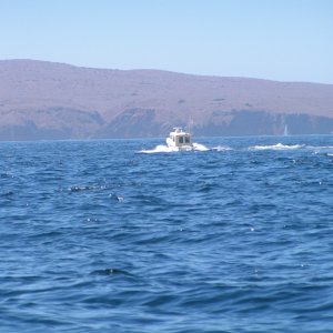 0381-070903