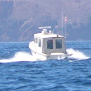 0381C