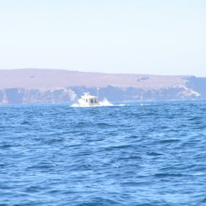 0383-070903