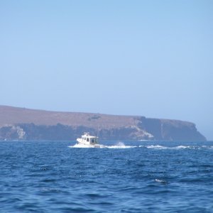 0384-070903