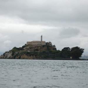 DSC 0103
