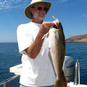 Brent w/Ocean White Fish