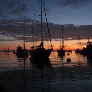 Catalina Sunrise