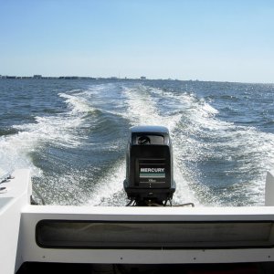 Wake in Assawoman Bay, MD
10/03/08