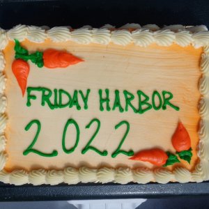 Friday Harbor Cake 2022