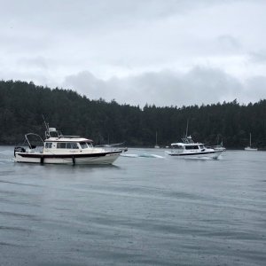 Leaving Friday Harbor with Daydream  (Pat & Patty Anderson) and Pan-A-C'ya (Steve & Joanie Pettyjohn)