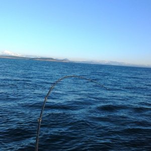 Salmon Banks, scenery