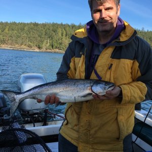 after giving salmon banks a try and only getting a shaker (killer whales may have had something to with it as were passing by eagle pt), we moved to the south east side of Orcas.  Lots of bait on the screen.  26" fish hit the deep rod, 130' of wire in 100' of  water.  This was the first time that  I got a tip while undergoing a safety inspection from the coast guard regarding where to fish.  Nice hard fighting fish