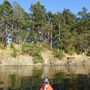 Exploring Cypress Head via kayak