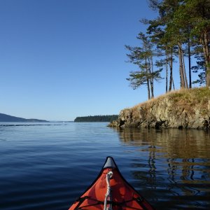 Exploring Cypress Head