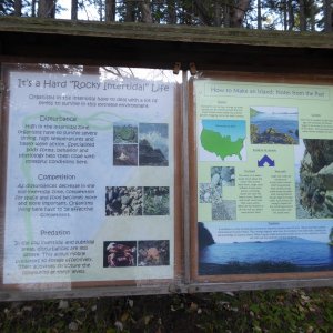 Information on Cypress Head