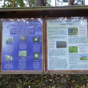 Information on Cypress Head