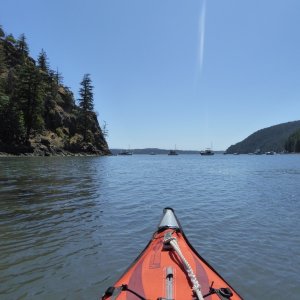 Eagle Harbor on a hot Saturday in July.  All 13 buoys were filled by now, and since it is a voluntary no-anchor area to restore the eel grass, not too many extra boats were anchored, and everyone was well-behaved and quiet. I was lucky to encounter no rowdies or yahoos like you often find this time of year in the San Juans.