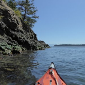 Exploring the shores of Eagle Harbor at minus 3 tide.