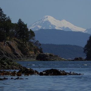 Mount Baker from Eagle Harbor Cypress