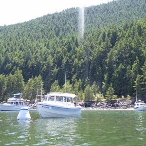 Sun beating down on a hot Saturday afternoon in July