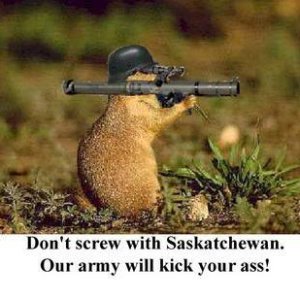 SaskGopher