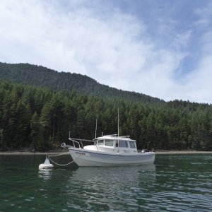 For some reason this innermost buoy at Eagle Harbor is always available when the others are full. I think it's the 5' depth at low tide.
