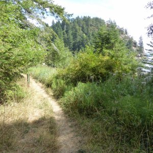 Trail at Eagle Harbor