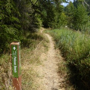 Trail at Eagle Harbor