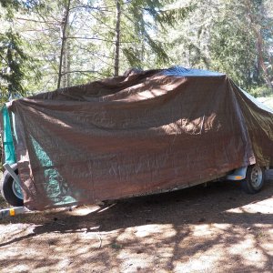 Now the edges hang down evenly to the trailer and are ready for attachment with bungee stoppers.  I'm not worried about a little water dripping through, as there is enough ventilation.  The cover is for protection from pitch, bird poop, leaves, pine needles, etc.