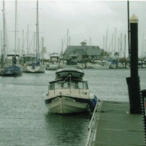 May 7 Sunday at Squalicum Harbor: Just returned from Lopez Island.