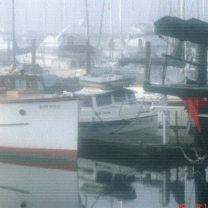 29 Sept 2006:  Tucked in between the bigger boats on a foggy morning in Port Townsend.