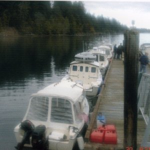 30 Sept 2006: C-Dorys at Sequim