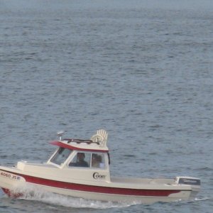 16\' in San Diego harbor