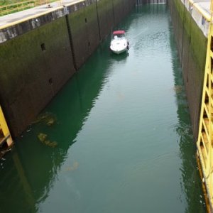 P1000463 don't hit the doors