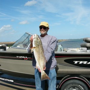 (Cygnet) 31" Texas Red (Red Drum)