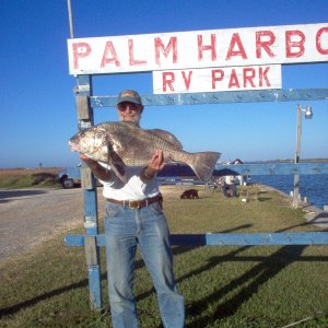28 Lb. South Texas, Black Drum, 1/5/08